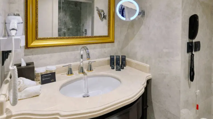 Deluxe Oda, Şehir Manzaralı, Büyük Yataklı