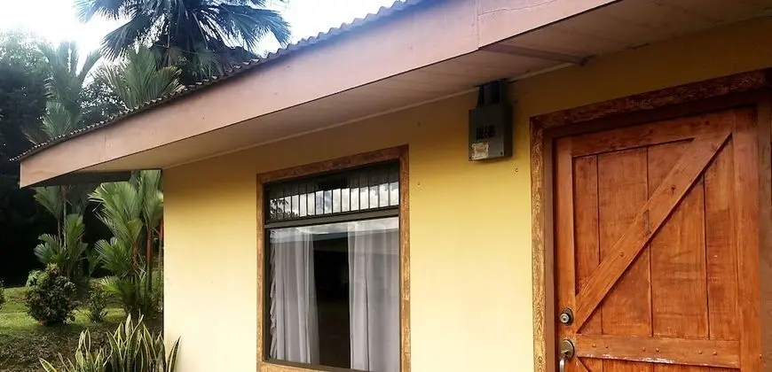 Standard Kulübe