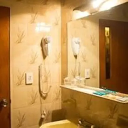 Standard Büyük Yataklı Tek Kişilik Oda, 1 Tek Kişilik Yatak, Engellilere Uygun, Sigara İçilmez