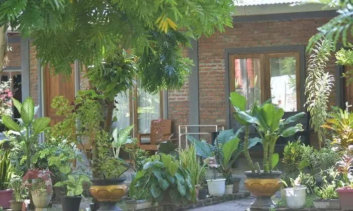 Superior Tek Büyük veya İki Ayrı Yataklı Oda