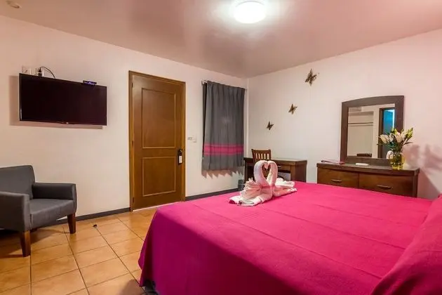 Superior Oda, 1 En Büyük (King) Boy Yatak