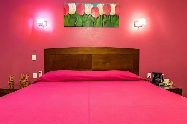 Superior Oda, 1 En Büyük (King) Boy Yatak