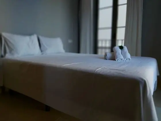 Deluxe Apart Daire, 1 Yatak Odası, Balkon, Şehir Manzaralı