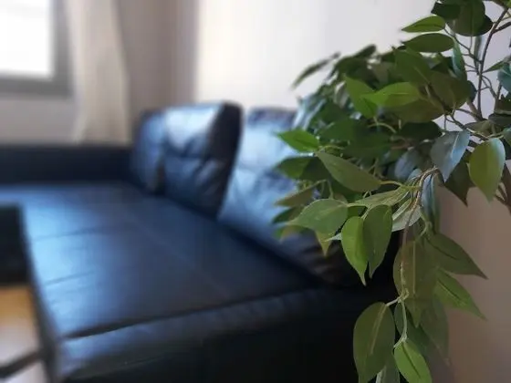 Deluxe Apart Daire, 1 Yatak Odası, Balkon, Şehir Manzaralı