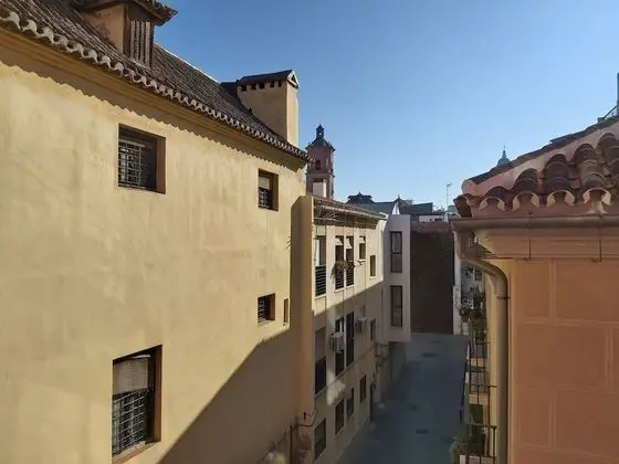 Deluxe Apart Daire, 1 Yatak Odası, Balkon, Şehir Manzaralı