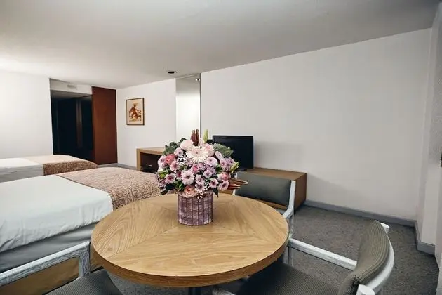 Standard Oda, 2 Çift Kişilik Yatak, Şehir Manzaralı