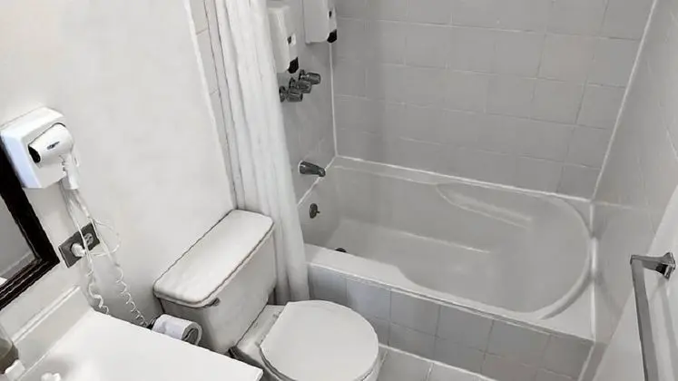 Standard Oda