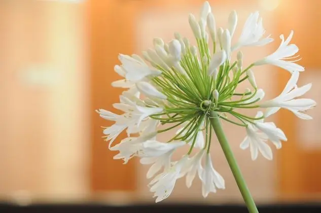 Basic Tek Kişilik Oda