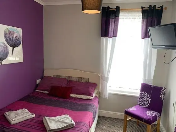Standard Tek Büyük Yataklı Oda, Banyolu/Duşlu (Room 1)