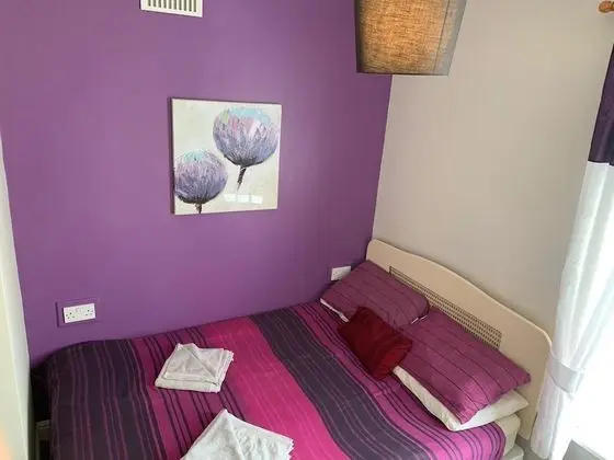 Standard Tek Büyük Yataklı Oda, Banyolu/Duşlu (Room 1)