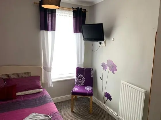 Standard Tek Büyük Yataklı Oda, Banyolu/Duşlu (Room 1)