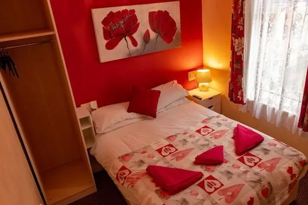 Tek Büyük Yataklı Oda, Banyolu/Duşlu (Room 2)