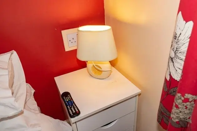 Tek Büyük Yataklı Oda, Banyolu/Duşlu (Room 2)