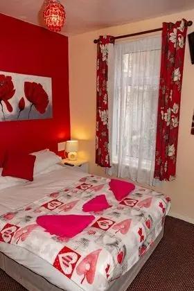 Tek Büyük Yataklı Oda, Banyolu/Duşlu (Room 2)