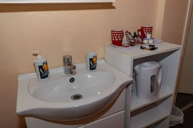 Tek Büyük Yataklı Oda, Banyolu/Duşlu (Room 2)