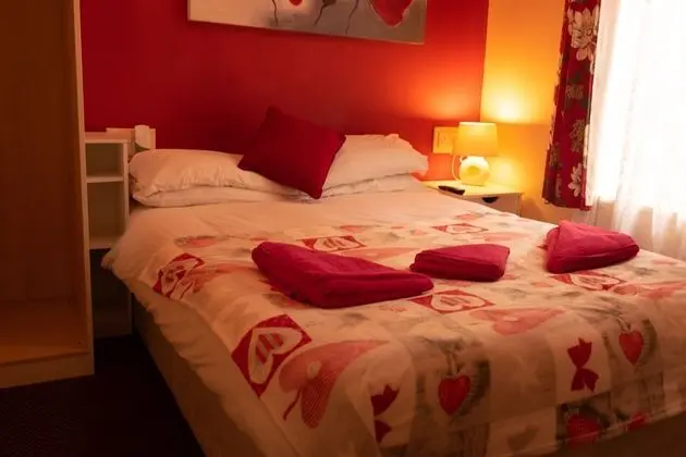 Tek Büyük Yataklı Oda, Banyolu/Duşlu (Room 2)