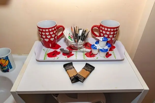 Tek Büyük Yataklı Oda, Banyolu/Duşlu (Room 2)