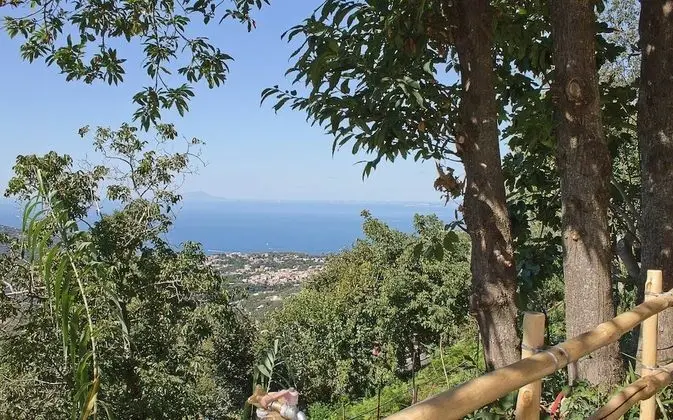 Villa, 3 Yatak Odası, Kişiye Özel Havuzlu, Vadi Manzaralı