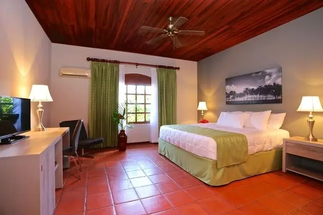 Superior Room with King Bed