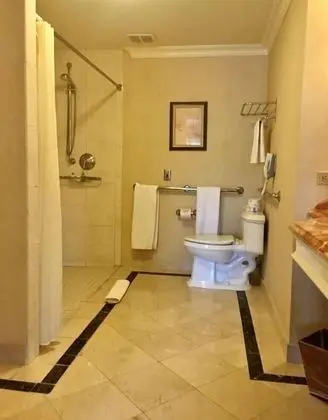 Deluxe Oda, 1 En Büyük (King) Boy Yatak, Şehir Manzaralı (Deluxe Town View King - Accessible)
