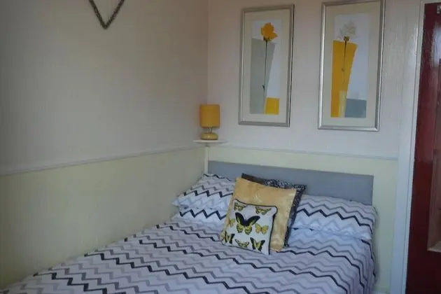 Tek Büyük Yataklı Oda, Özel Banyo (Partially en suite)