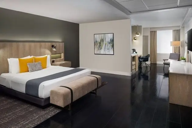Luxury Süit, 1 En Büyük (King) Boy Yatak, Sigara İçilmez