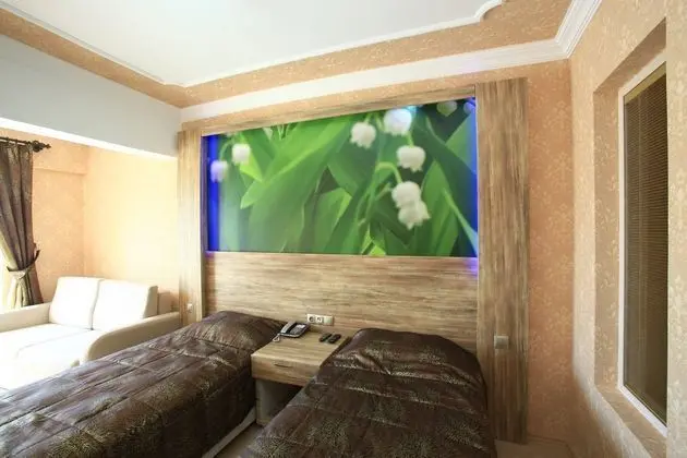 https://imagessl.etstur.com/files/images/hotelImages/TR/94460/l/Delfi-Hotel-Oda-195769.jpg