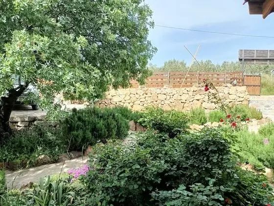 Exclusive Room