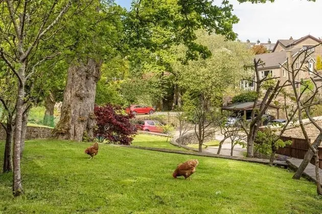 Apart Daire, Birden Çok Yatak