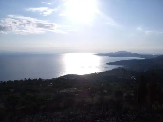 Ev, 1 Yatak Odası, Veranda