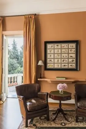 Superior Tek Büyük Yataklı Oda, 1 En Büyük (King) Boy Yatak