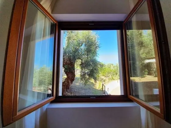 Tek Büyük Yataklı Oda (window)