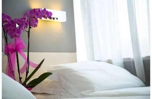 Superior Tek Büyük veya İki Ayrı Yataklı Oda