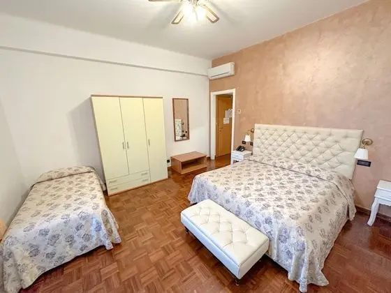 Superior Tek Büyük veya İki Ayrı Yataklı Oda (up to 3 people)