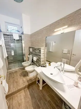 Superior Tek Büyük veya İki Ayrı Yataklı Oda (up to 3 people)