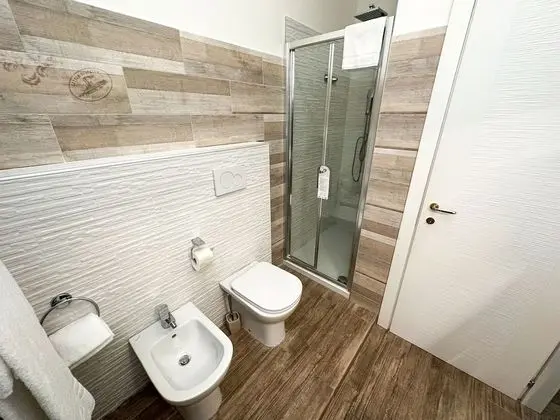 Superior Tek Büyük veya İki Ayrı Yataklı Oda (up to 3 people)