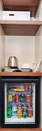 Mini-refrigerator