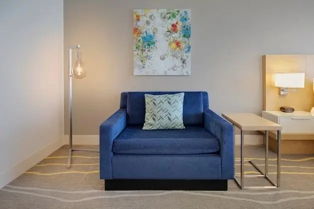 Oda, 1 En Büyük (King) Boy Yatak, Balkon (Mobility Accessible, Tub)