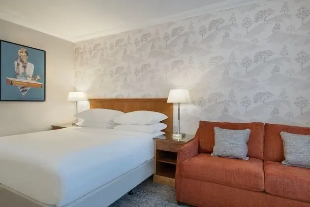 Deluxe Oda, 1 En Büyük (King) Boy Yatak