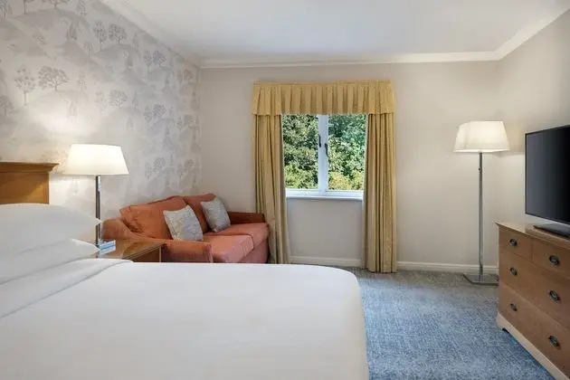 Deluxe Oda, 1 En Büyük (King) Boy Yatak