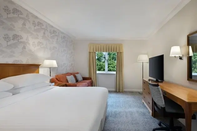 Deluxe Oda, 1 En Büyük (King) Boy Yatak