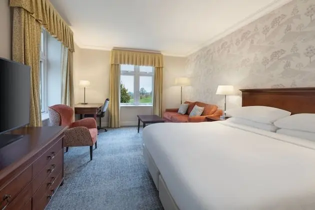 Superior Oda, 1 En Büyük (King) Boy Yatak, Manzaralı