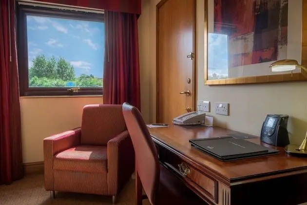 Deluxe Oda, 1 Çift Kişilik Yatak, Sigara İçilmez