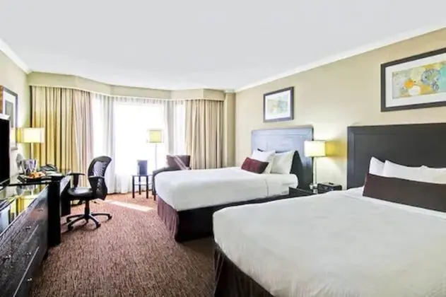Premier Oda, 2 Çift Kişilik Yatak (Mid Floor)