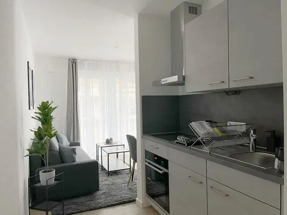 Exclusive Apart Daire, 1 Büyük (Queen) Boy Yatak ve Çekyat