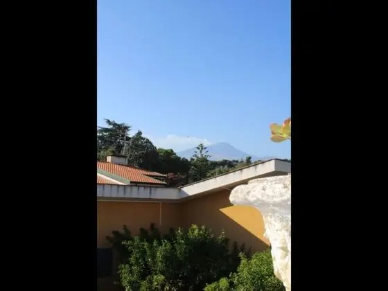 Ev, 1 Yatak Odası, Teras