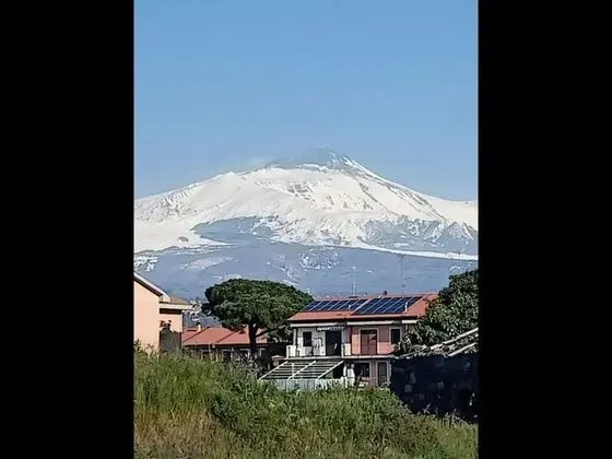 Ev, 1 Yatak Odası, Teras