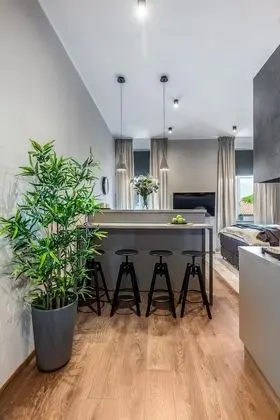 Deluxe Stüdyo Süit (3rd floor)