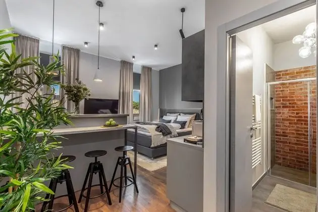 Deluxe Stüdyo Süit (3rd floor)