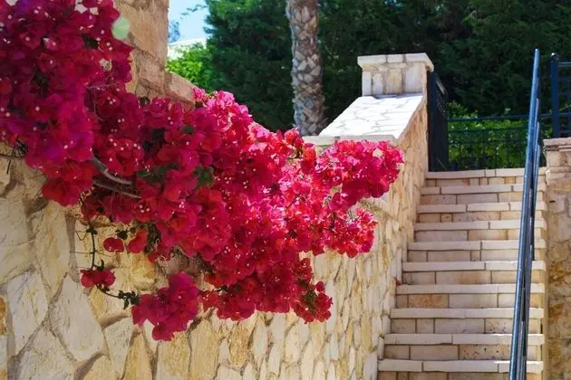 Villa, 4 Yatak Odası, Balkon